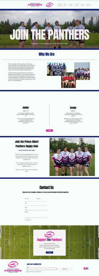 Website Design